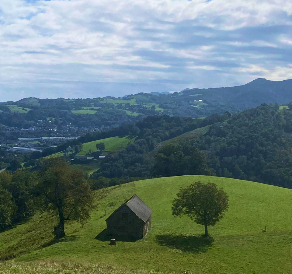 Petite dépendance en bois au milieu des champs